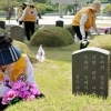 thumbnail - 5·18 앞두고 민주묘역 단장