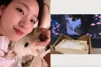 thumbnail - “거기선 아프지 마” 장례식 사진…김고은, 안타까운 소식 전해