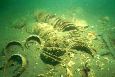thumbnail - 태안 앞바다 ‘고려 난파선’ 조사