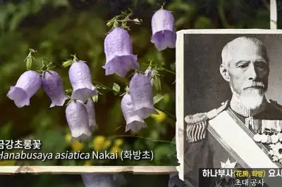 thumbnail - “‘우리나라 꽃’을 일본인 이름 따서 불렀다고?”…‘치욕의 역사’ 씻어낸 사연