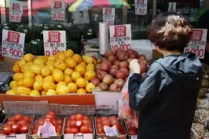 thumbnail - 출하량 늘어 농산물값 안정세… 수박·참외 가격은 상승
