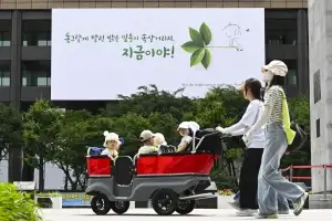thumbnail - 지금이야, 밝은 잎들이 속살거리는 계절