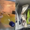 “너무 배고파요” 스무살 자취생 글 올리자 1시간 만에 벌어진 일…‘상상초월’
