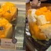 성심당 또 일냈다…깜짝 선보였는데 “제발 정식 출시해주세요” 쇄도