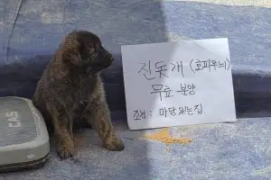 thumbnail - 따뜻한 분양