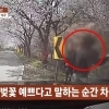 “벚꽃 예쁘다” 말하는 순간…40대 부부 덮친 만취 차량에 결국 ‘참변’