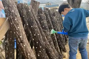thumbnail - ‘도시엔 없는 배움’ 줬더니 유학·정착… 농촌에 희망 심는 청년