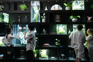 thumbnail - 롯데월드 아쿠아리움 ‘물빛 정원’ 오늘 오픈