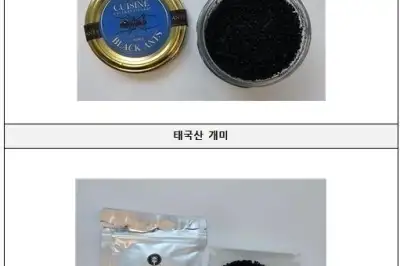 thumbnail - 요리에 식용 불가 ‘개미 토핑’…미슐랭2스타 레스토랑 대표 ‘징역 1년’ 구형