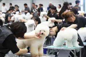 thumbnail - 정성을 다해