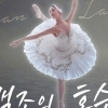 thumbnail - 서초 “가족과 ‘백조의 호수’보며 힐링하세요”