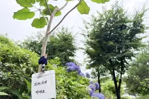 thumbnail - 가져가지 마세요
