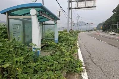 thumbnail - 인적 끊긴 농촌 버스승강장… “관리할 사람도, 찾는 사람도 없다”