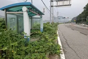 thumbnail - 인적 끊긴 농촌 버스승강장… “관리할 사람도, 찾는 사람도 없다”