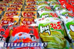 thumbnail - 눈길 끄는 北 포장 김치