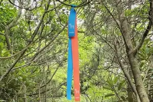 thumbnail - 오름이 건넨 ‘비움의 미학’… “기쁨도 슬픔도 모두 내려놔요”