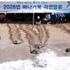 thumbnail - 와! 바다다!