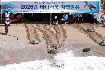 thumbnail - 와! 바다다!