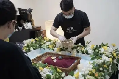 thumbnail - “사람 장례식보다 화려하네”…고급 ‘리무진’ 타고 작별하는 中 강아지들