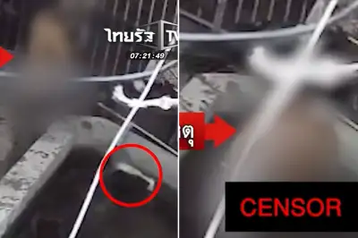 thumbnail - 잉어 자꾸 죽더라니… “성적으로 흥분” 연못 들어가 성행위한 태국 남성 CCTV 포착