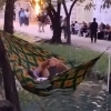 thumbnail - “청계천에서 무슨 짓?” 이번엔 ‘해먹 빌런’ 등장…“제발 단속 좀”