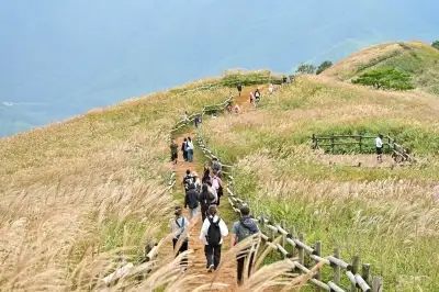 thumbnail - 돌아온 억새의 계절