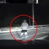 thumbnail - “한국 치안 어쩌다 이 지경 됐나” 나경원 경악한 영상…한밤중 도로서 벌어진 일