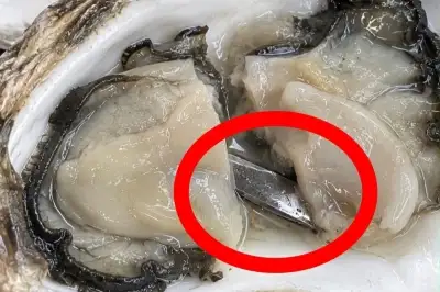thumbnail - 을지로 맛집 갔다가 ‘충격’…“굴요리에 ‘5㎝ 칼날’ 숨어 있었다”