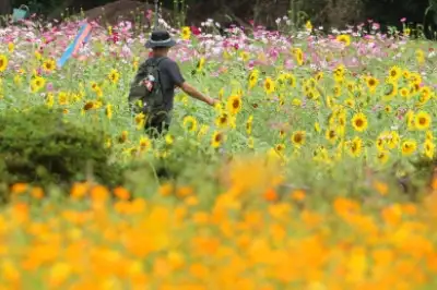 thumbnail - 제주 올레길의 가을