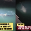thumbnail - “밤에 부캉이 좀 괴롭히지 마세요” 손전등에 랜턴까지 비춰 논란 [이슈픽]