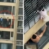 아파트 12층서 머리만 걸린 채 대롱대롱…3세 여아 살려낸 아찔한 순간