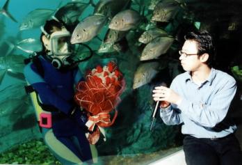 63빌딩  '63러브밸런타인' 이벤트 중  '수중 프러포즈'