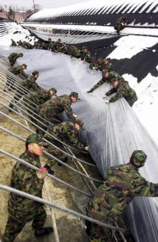 폭설 피해지역인 충남 천안시 부성동의 한 농가에서 장병들이 무너진 비닐하우스를 다시 세우고 있다.천안 이호정기자 hojeong@