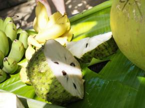 가가니 열대과일농장의 사워삽