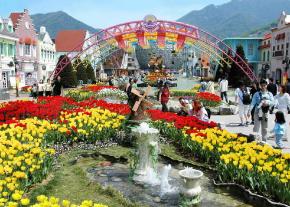 서울랜드 튤립거리