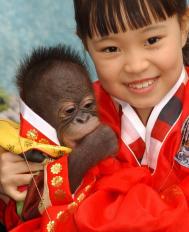 조정은양과 '보미'