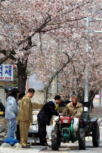 "한표 부탁합니다" 경남 모 선거구에서 한 후보가 경운기를 몰고 가는 유권자에게 한 표를 호소하고 있다, 서울신문 포토라이브러리