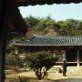 [정동주 역사문화 에세이 달빛의 역사 문화의 새벽] (27)그리운 사람 그리운 이름,문익점(下)