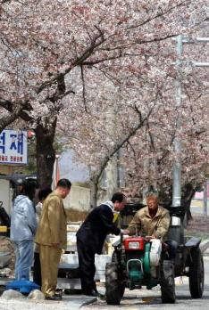 "저에게 한표를…"