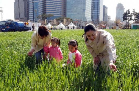 빌딩숲속 보리밭 추억
