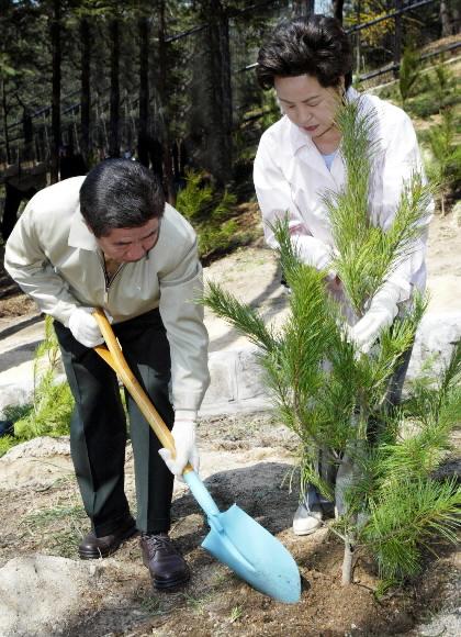 노대통령 식수행사 탄핵안 가결이후 관저에서 ‘칩거’해온 노무현 대통령 부부가 식목일인 5일 청와대 경내에서 잣나무를 심고 있다. 청와대 제공