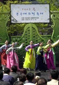 지난해 봄 세종문화회관 '분수대뜨락축제'.