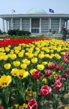 개원준비 한창인 국회 전경