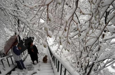 4월의 눈꽃 4월로서는 기록적인 15㎝의 눈이 내린 강원도 설악산 한계령에서 27일 상춘객들이 때아닌 눈꽃을 감상하고 있다. 오정식기자 oosing@