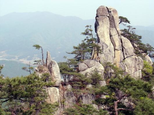 갖가지 기암괴석과 소나무들이 선경을 이루는 운악산의 암봉들.