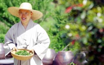 '식탁 위의 구도자' 대안스님이 경남 산청의 금서암앞 길가에서 딴 햇차를 들고 해맑게 웃고 있다.