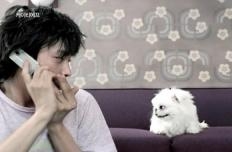 [새광고] 배우 강동원과 강아지의 만남