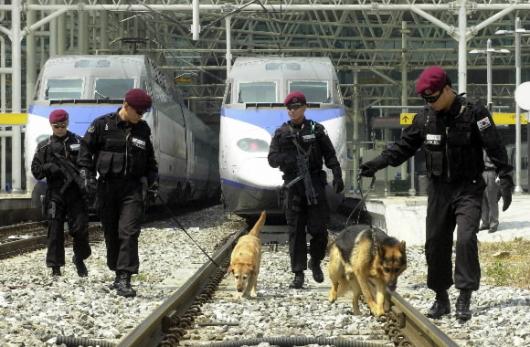 3일 오전 부산역 고속철도 선로에서 가짜 폭발물이 발견되자 경찰이 서울역에서도 특공대원과 탐지견을 동원해 수색활동을 하고 있다. 이호정기자 hojeong@seoul.co.kr
