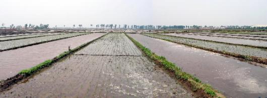 넓이가 우리나라 호남평야와 맞먹는 중국 지…