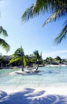 여행사나 호텔, 테마파크에서 마련한 패키지…